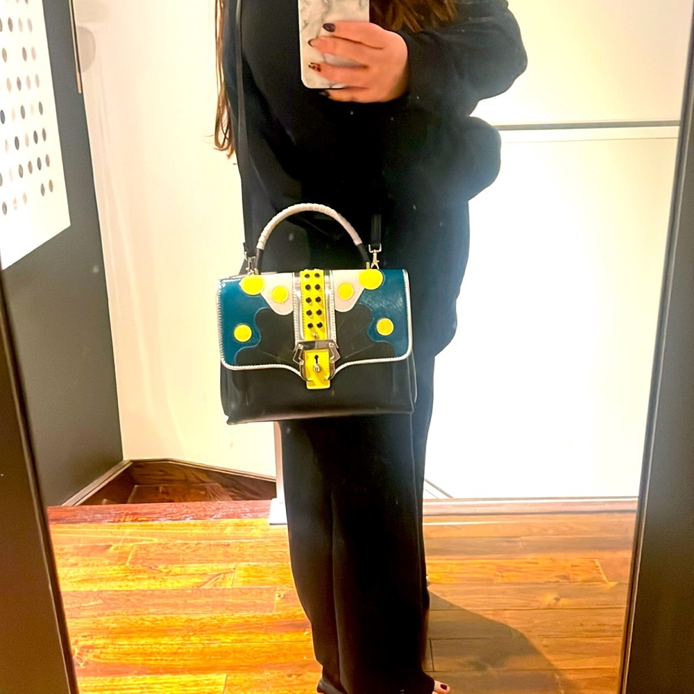 Paula Cademartori Petite Faye shoulder bag (collector’s item)